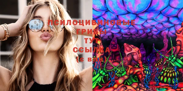 круглые Бородино