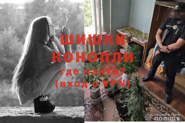 круглые Бородино