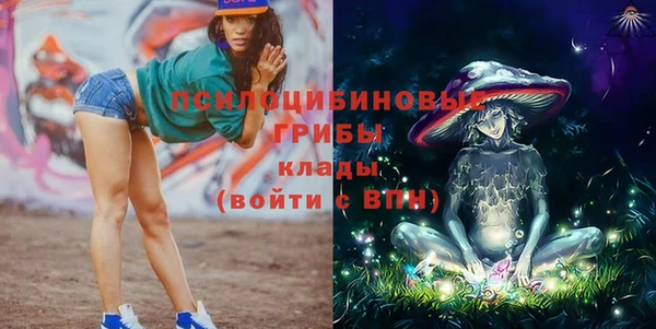 mdpv Бугульма